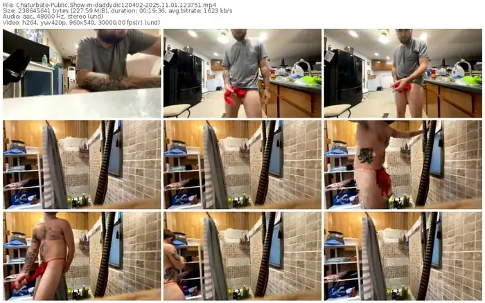 chaturbate-daddydic120402-11-01-2025-12-37-51