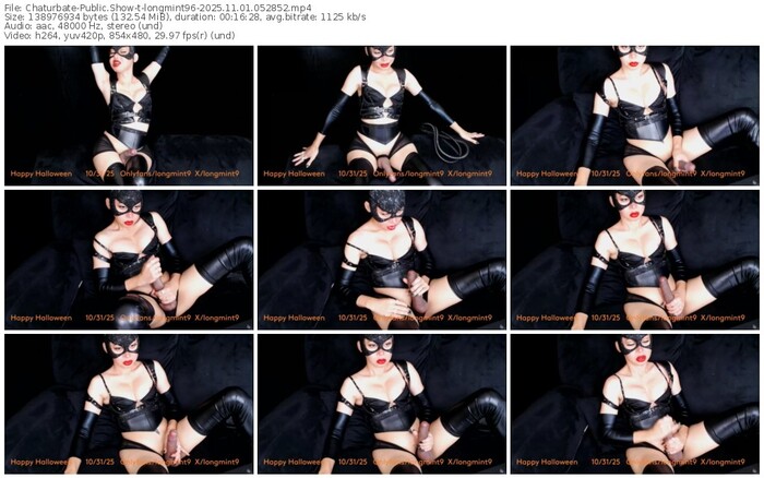chaturbate-longmint96-11-01-2025-05-28-52