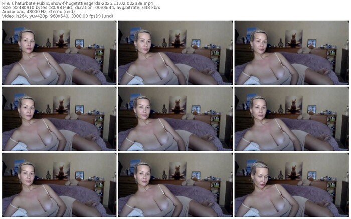 chaturbate-hugetittiesgerda-11-02-2025-02-23-38