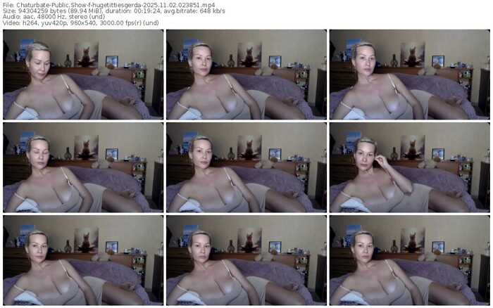 chaturbate-hugetittiesgerda-11-02-2025-02-38-51