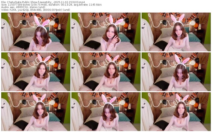 chaturbate-sweetshy_-11-02-2025-15-31-03