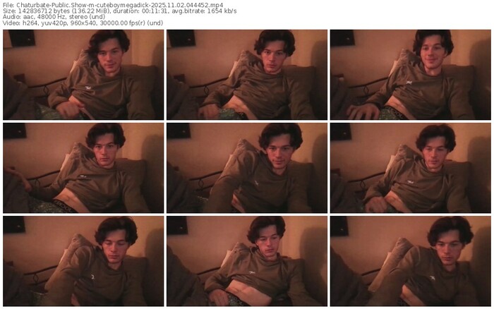 chaturbate-cuteboymegadick-11-02-2025-04-44-52