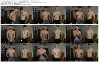 chaturbate-nik_sharp-11-02-2025-18-18-25
