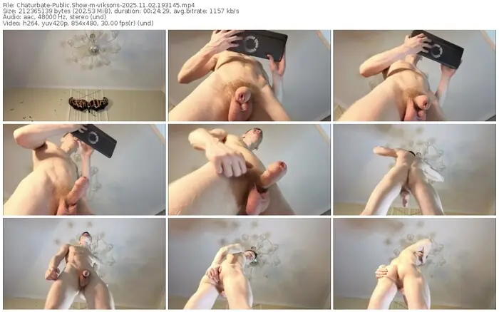 chaturbate-viksons-11-02-2025-19-31-45