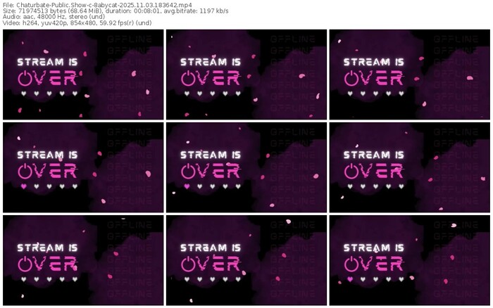 chaturbate-8abycat-11-03-2025-18-36-42