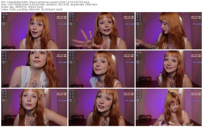 chaturbate-artemisa_meows-11-03-2025-22-57-52