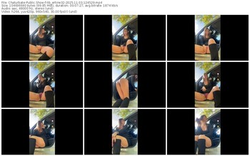 chaturbate-lib_ertine32-11-03-2025-12-45-29