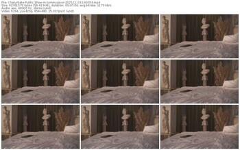 chaturbate-tommyjoyer-11-03-2025-14-00-34