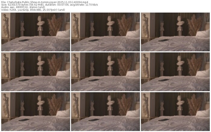 chaturbate-tommyjoyer-11-03-2025-14-00-34