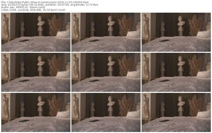 chaturbate-tommyjoyer-11-03-2025-14-00-34