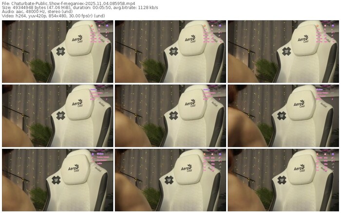 chaturbate-meganiex-11-04-2025-08-59-58