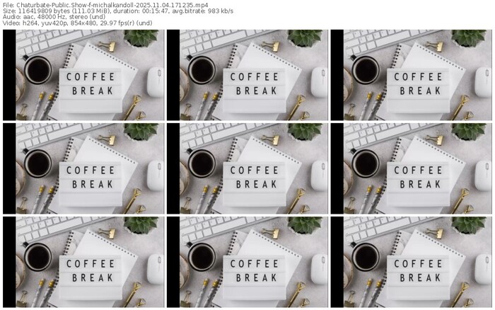 chaturbate-michalkandoll-11-04-2025-17-12-35