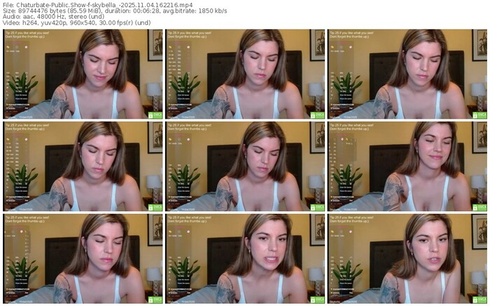 chaturbate-skybella_-11-04-2025-16-22-16