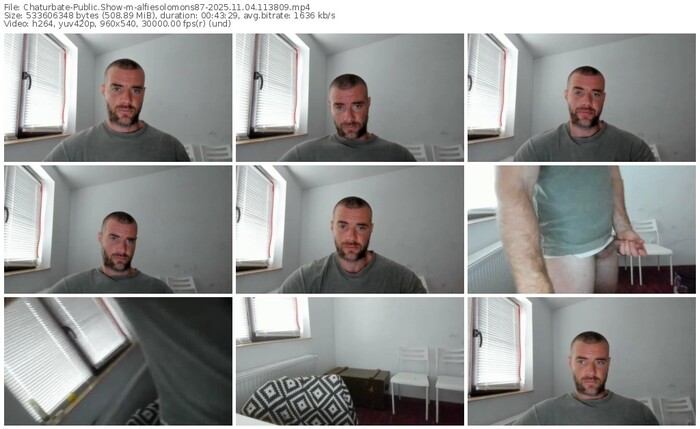 chaturbate-alfiesolomons87-11-04-2025-11-38-09