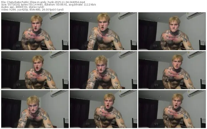 chaturbate-andy_hunk-11-04-2025-04-40-54
