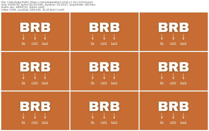 chaturbate-romeokatereborn-11-05-2025-12-23-33