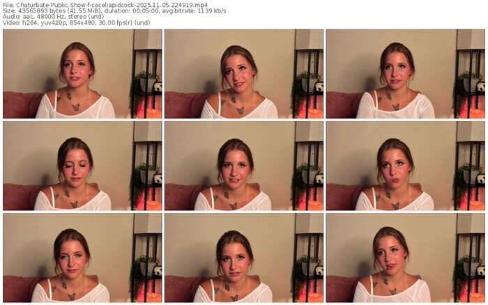 chaturbate-ceceliapidcock-11-05-2025-22-49-19