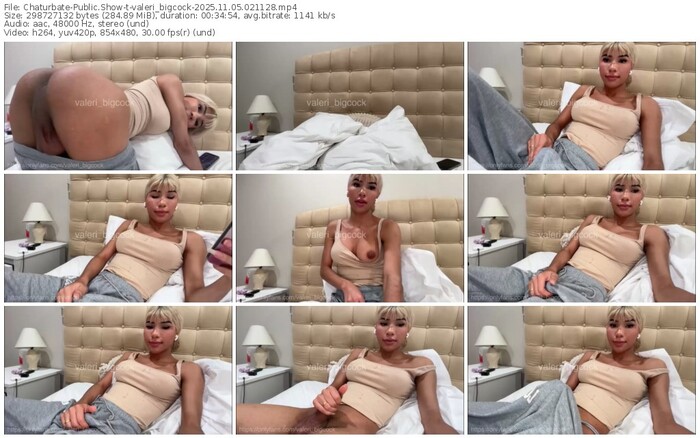 chaturbate-valeri_bigcock-11-05-2025-02-11-28
