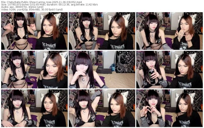 chaturbate-arina_rose-11-06-2025-03-19-52