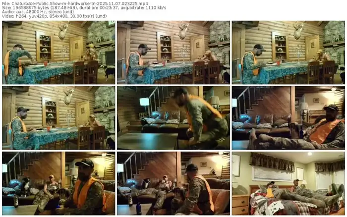 chaturbate-hardworkertn-11-07-2025-02-32-25