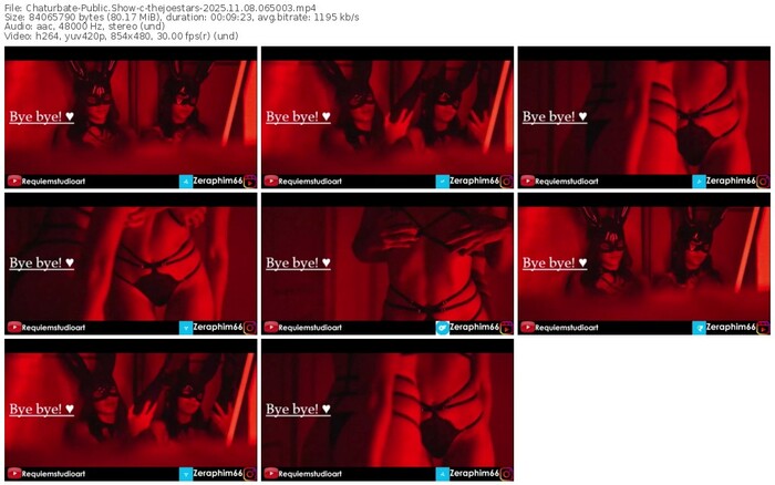 chaturbate-thejoestars-11-08-2025-06-50-03