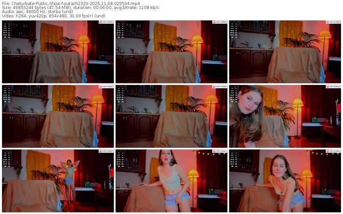 chaturbate-palach2323-11-08-2025-02-55-34