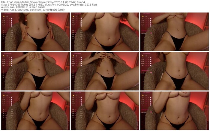 chaturbate-tinkerdinky-11-08-2025-22-44-18