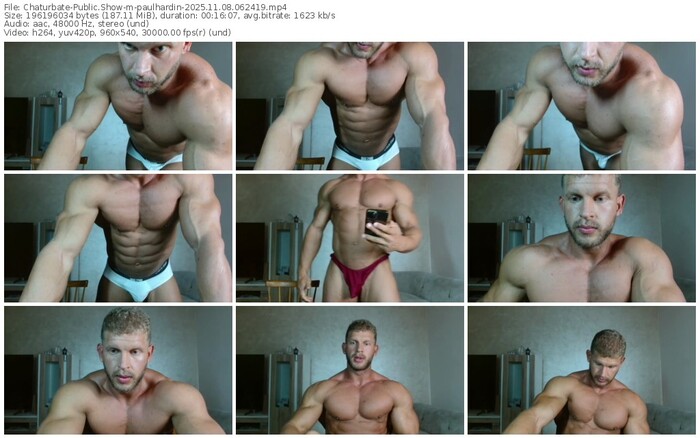 chaturbate-paulhardin-11-08-2025-06-24-19