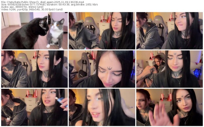 chaturbate-i_died_again-11-09-2025-13-02-36