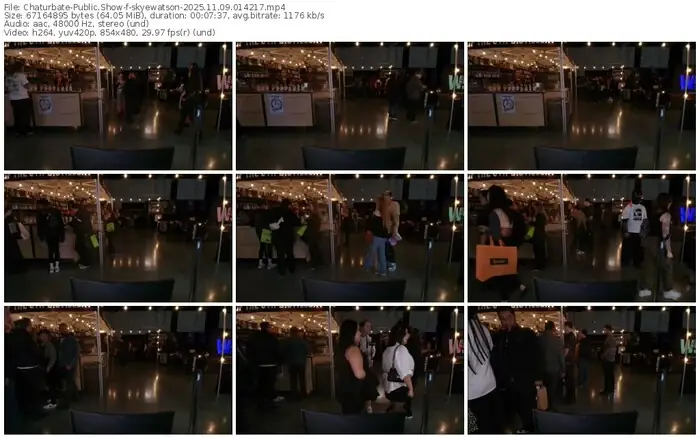 chaturbate-skyewatson-11-09-2025-01-42-17