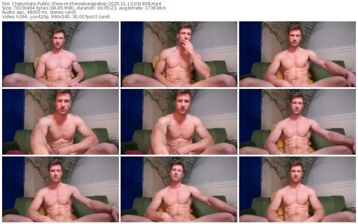 chaturbate-therealveggieboy-11-10-2025-03-18-08