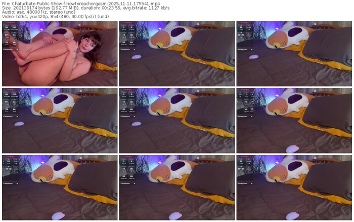 chaturbate-howtoreachorgasm-11-11-2025-17-55-41