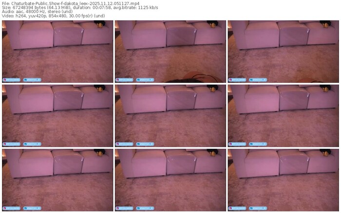 chaturbate-dakota_leex-11-12-2025-05-11-27