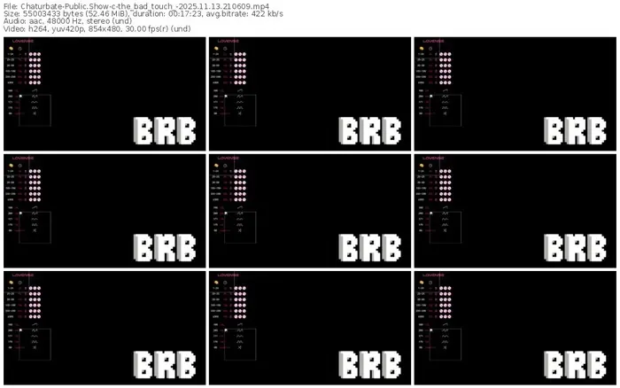 chaturbate-the_bad_touch_-11-13-2025-21-06-09