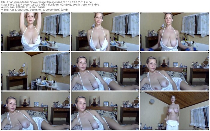 chaturbate-hugetittiesgerda-11-13-2025-00-56-14