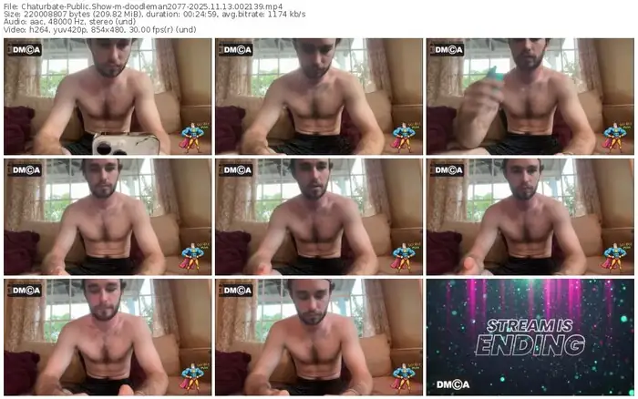 chaturbate-doodleman2077-11-13-2025-00-21-39