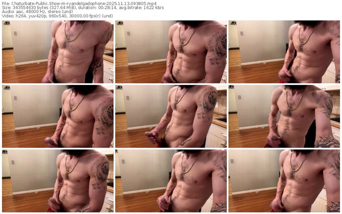 chaturbate-ryandelgadophone-11-13-2025-09-38-05