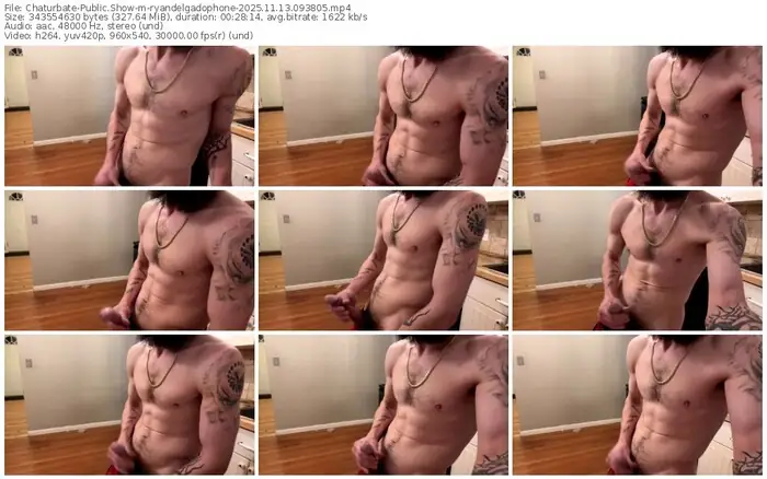 chaturbate-ryandelgadophone-11-13-2025-09-38-05