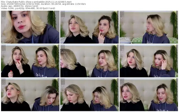 chaturbate-pinkadele-11-14-2025-02-38-15