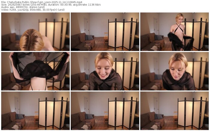 chaturbate-gin_yoon-11-14-2025-11-08-45