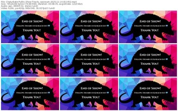 chaturbate-levity_opossum-11-14-2025-01-16-52