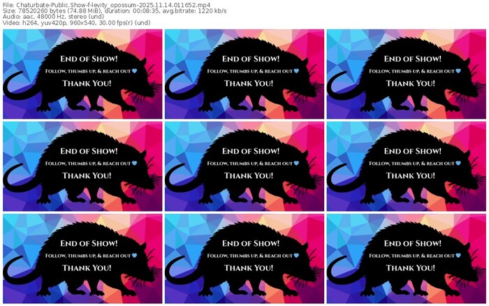 chaturbate-levity_opossum-11-14-2025-01-16-52