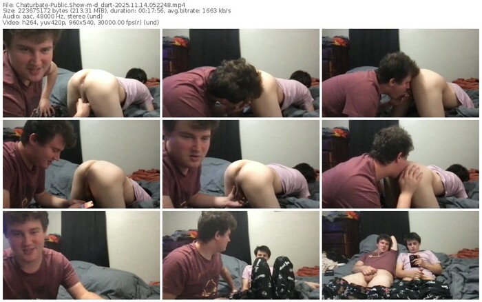 chaturbate-d_dart-11-14-2025-05-22-48