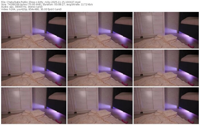 chaturbate-kitty_ricky-11-15-2025-10-04-27