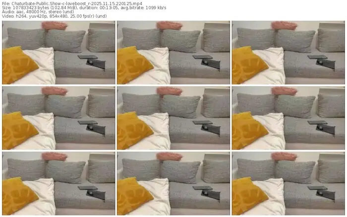 chaturbate-loveboost_r-11-15-2025-22-01-25