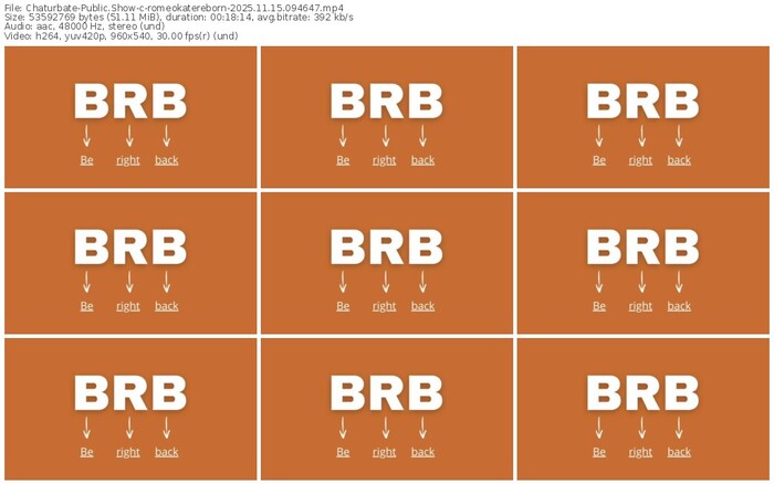 chaturbate-romeokatereborn-11-15-2025-09-46-47