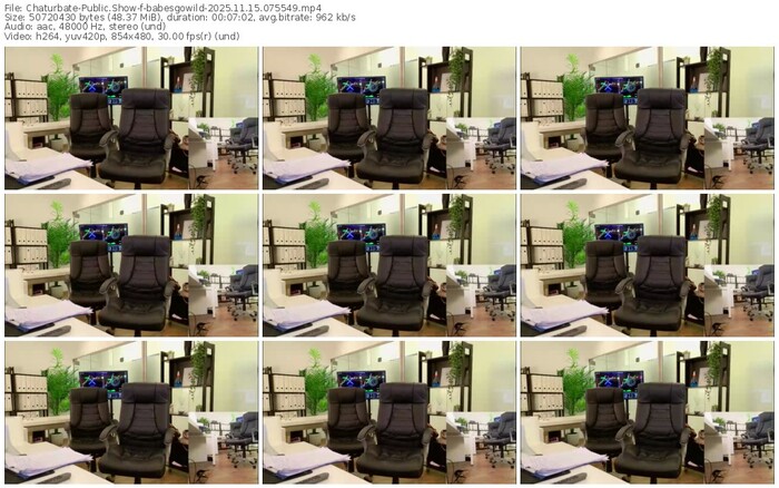 chaturbate-babesgowild-11-15-2025-07-55-49