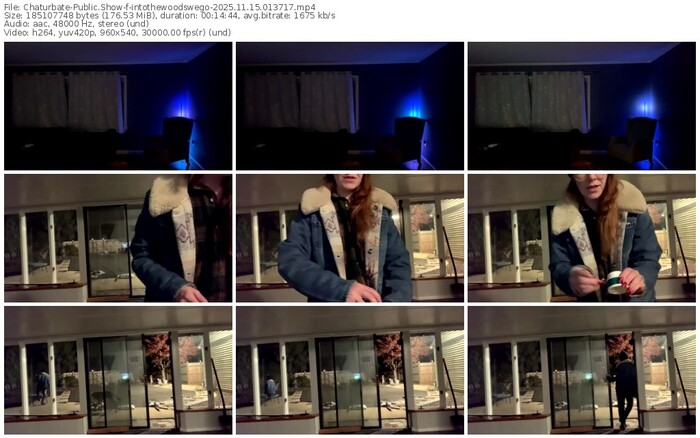 chaturbate-intothewoodswego-11-15-2025-01-37-17