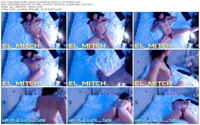 chaturbate-ticketshow-11-15-2025-03-38-51