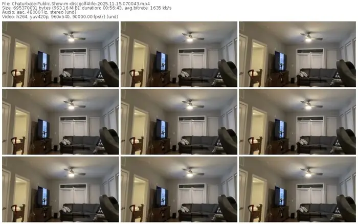 chaturbate-discgolf4life-11-15-2025-07-00-43